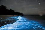 Glowing-Blue-Waves-Doug-Perrine-2